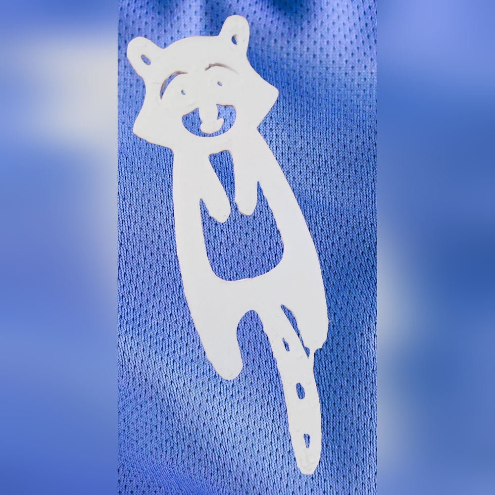 3D Printed Raccoon Bookmark